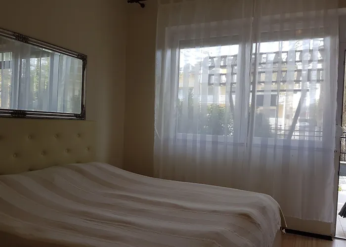 Bella * 시오포크